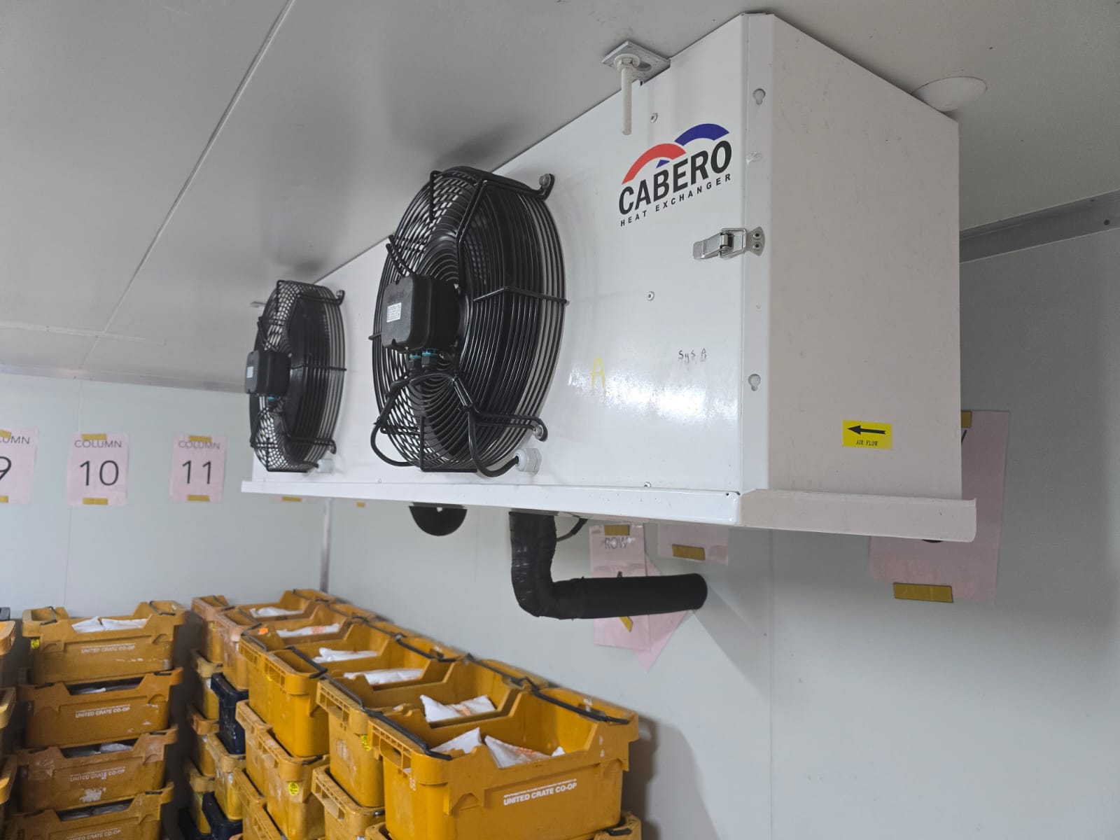 Trailer-mounted coolroom with professional setup