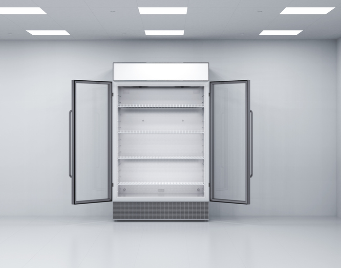 Commercial Stand Up Freezer