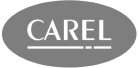 Carel Industries